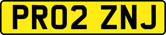 PR02ZNJ