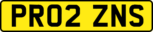 PR02ZNS