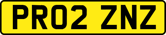 PR02ZNZ