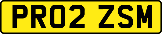 PR02ZSM