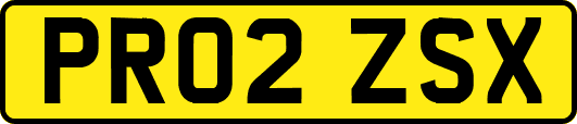 PR02ZSX