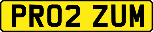 PR02ZUM