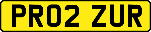 PR02ZUR