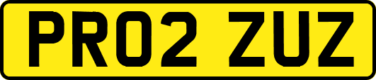 PR02ZUZ