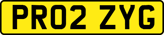 PR02ZYG