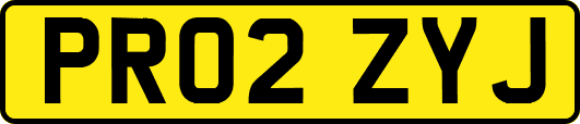 PR02ZYJ