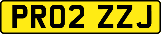 PR02ZZJ