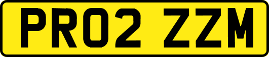 PR02ZZM