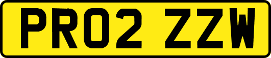 PR02ZZW