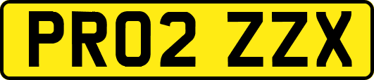 PR02ZZX