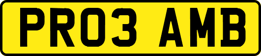 PR03AMB