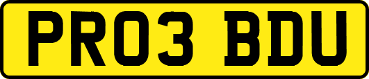 PR03BDU
