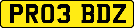 PR03BDZ