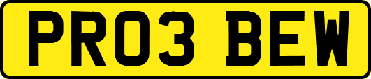 PR03BEW