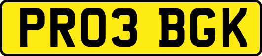 PR03BGK