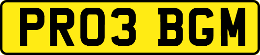 PR03BGM