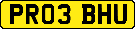 PR03BHU