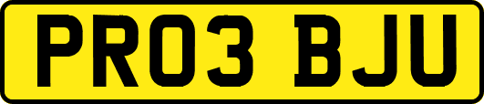 PR03BJU