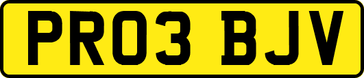 PR03BJV