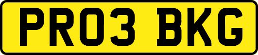 PR03BKG