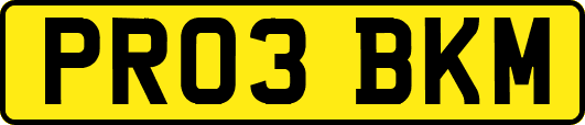PR03BKM