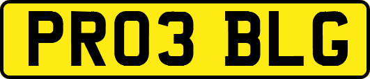 PR03BLG