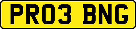 PR03BNG