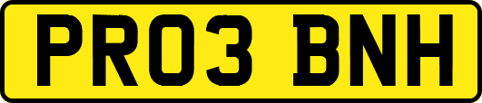 PR03BNH