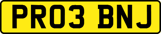 PR03BNJ