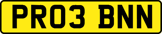 PR03BNN