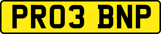 PR03BNP