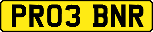 PR03BNR