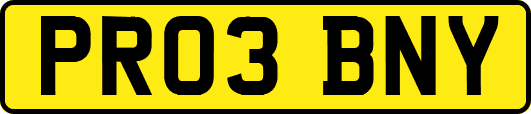 PR03BNY