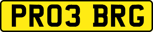 PR03BRG