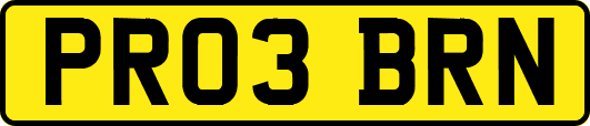 PR03BRN