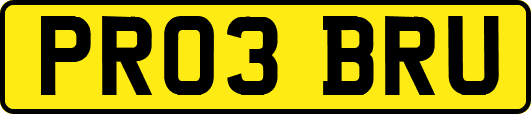 PR03BRU