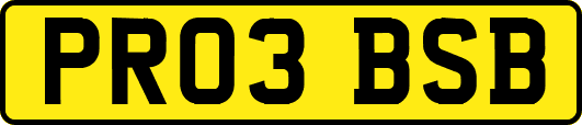 PR03BSB