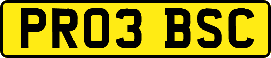 PR03BSC