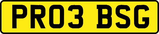PR03BSG