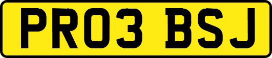 PR03BSJ