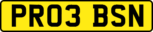 PR03BSN