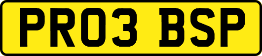 PR03BSP