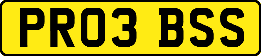 PR03BSS