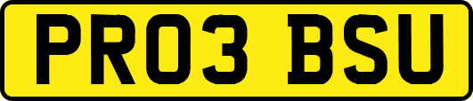 PR03BSU