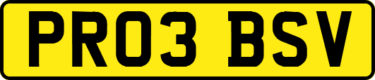 PR03BSV