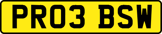 PR03BSW