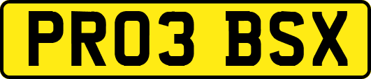PR03BSX