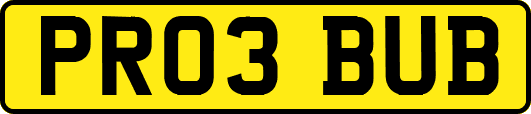 PR03BUB