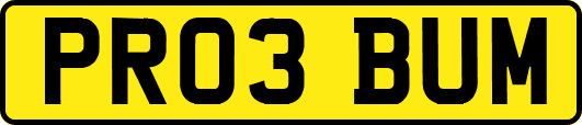 PR03BUM