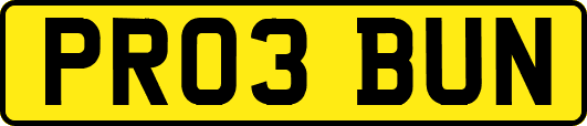 PR03BUN